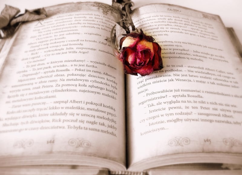 Books and Ebooks